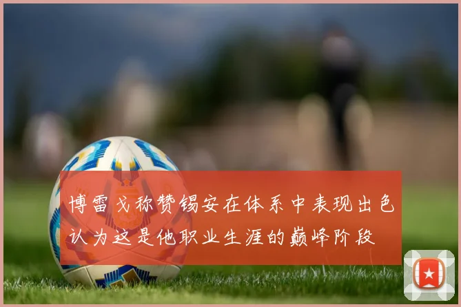 博雷戈称赞锡安在体系中表现出色认为这是他职业生涯的巅峰阶段