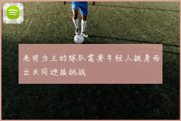 老将为主的球队需要年轻人挺身而出共同迎接挑战