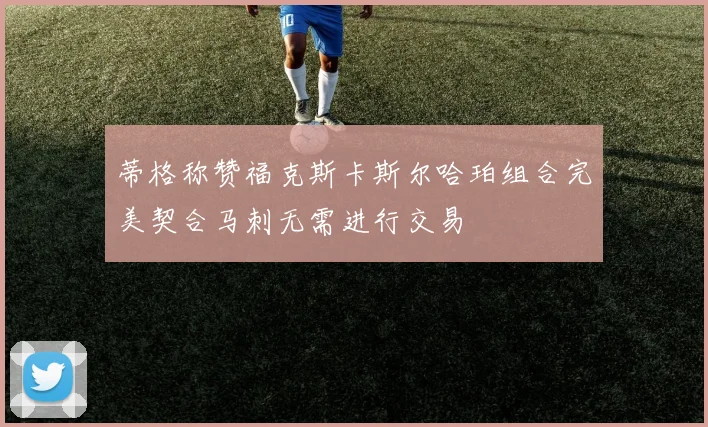 蒂格称赞福克斯卡斯尔哈珀组合完美契合马刺无需进行交易