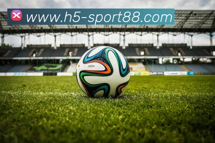 88体育APP 封面图